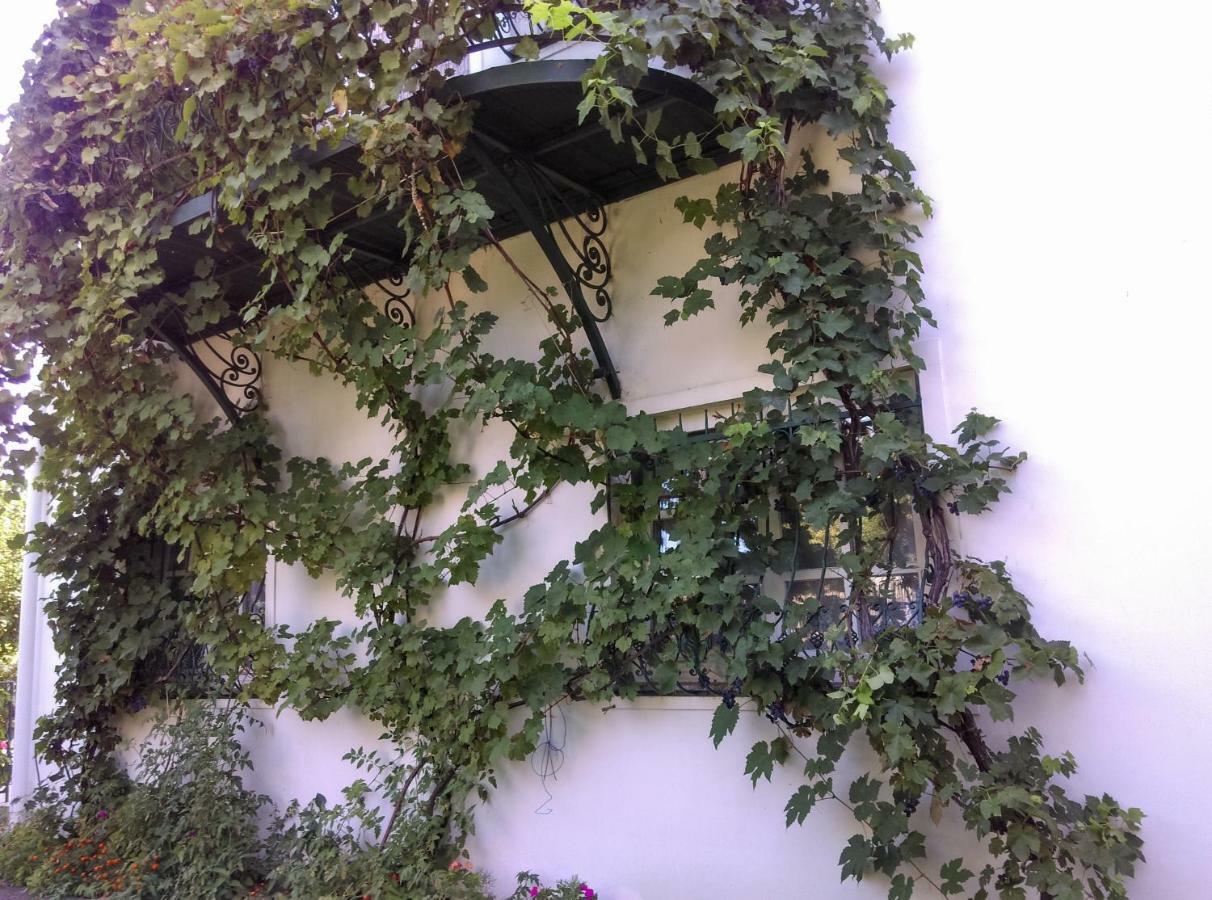 Fesztival Nyaralohaz Apartment Zamardi Bagian luar foto