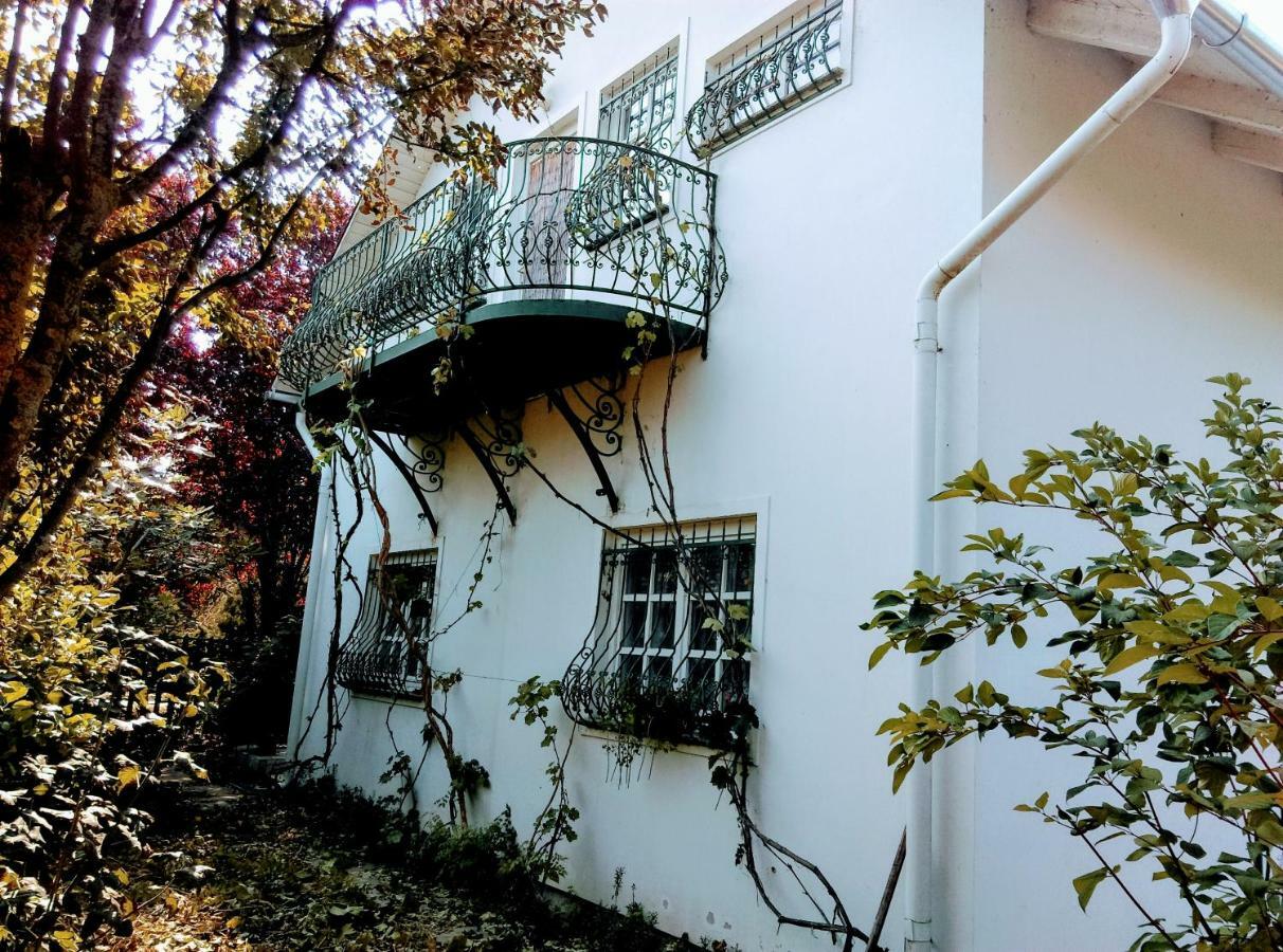 Fesztival Nyaralohaz Apartment Zamardi Bagian luar foto
